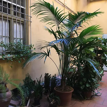 Casa Klara